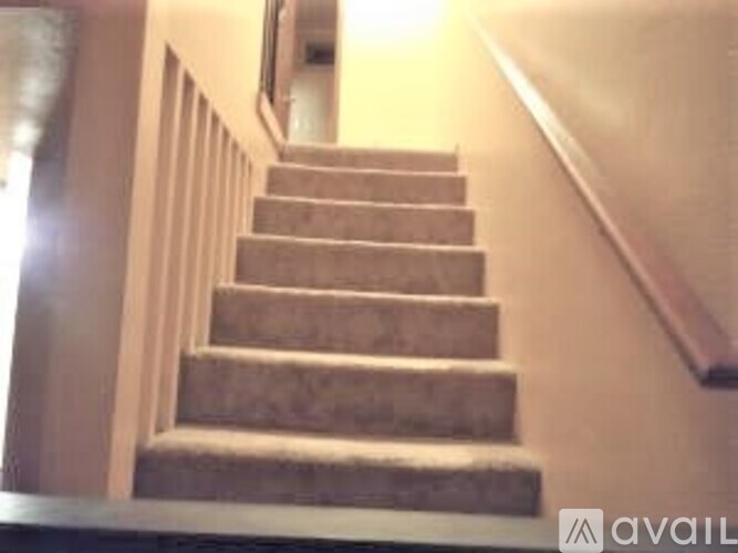 A staircase with a carpeted runner and wooden handrail.