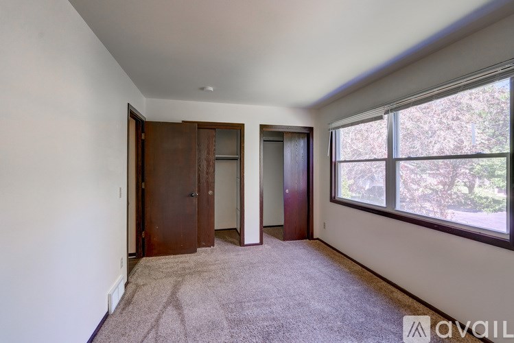A room with a carpeted floor, two doors, and a window showing trees outside.