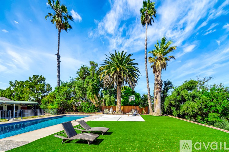 A pool surrounded by palm trees and lawn chairs.