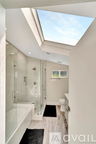 A bathroom with a skylight and a glass shower stall.