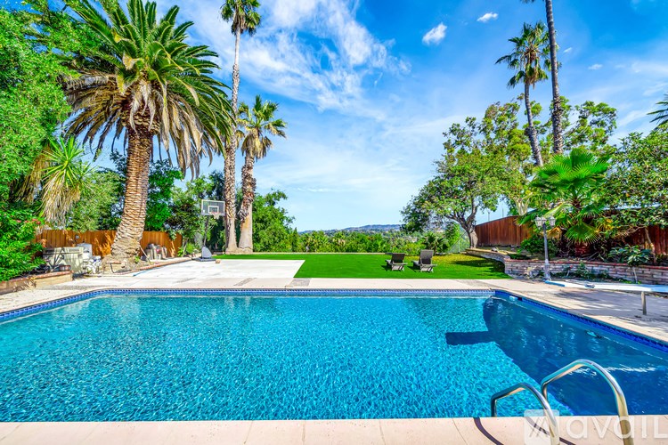 A pool surrounded by palm trees and a clear blue sky.