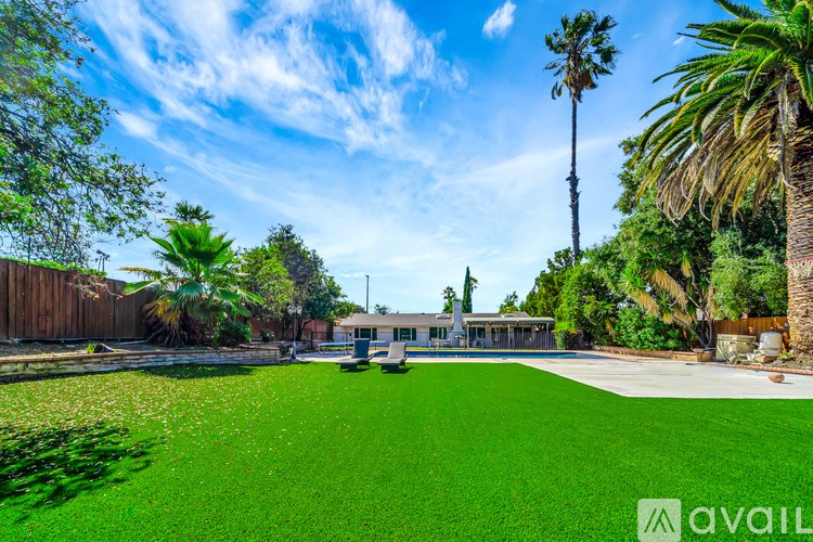 A backyard with a green lawn and palm trees.