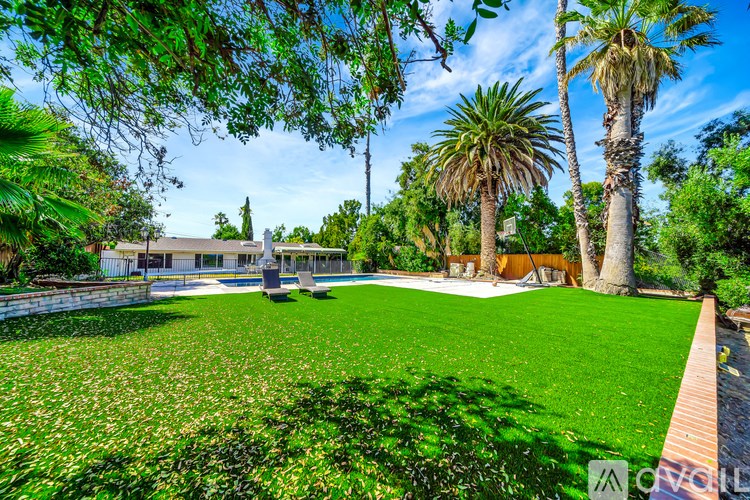 A backyard with a lawn, palm trees, and a house.