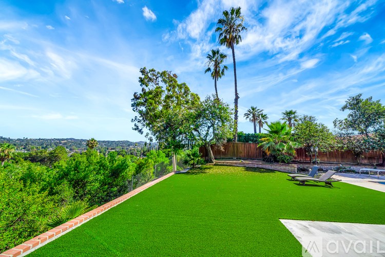 A backyard with a lawn and a fence.