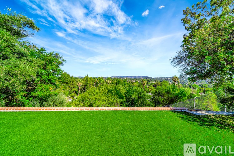 A lush green field with trees and a clear blue sky in the background.