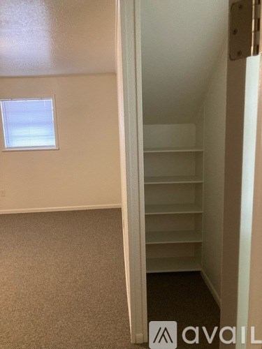 A room with a carpeted floor and a window.