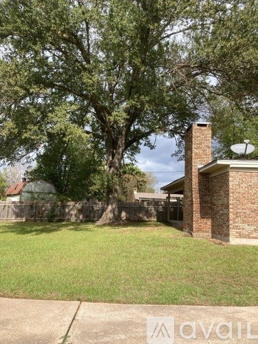 A tree in a yard with a house in the background.
