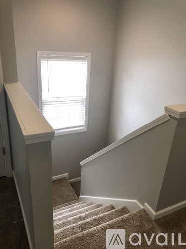 A staircase with a beige carpet and white railings leads to a window.
