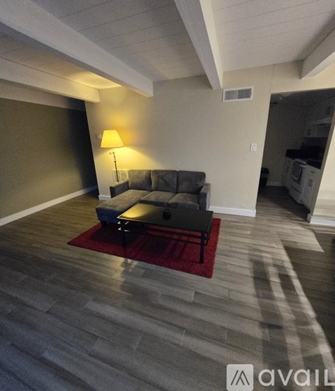 A living room with a grey couch and a red rug.