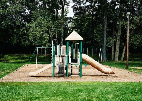 a playground with a slide in a park
