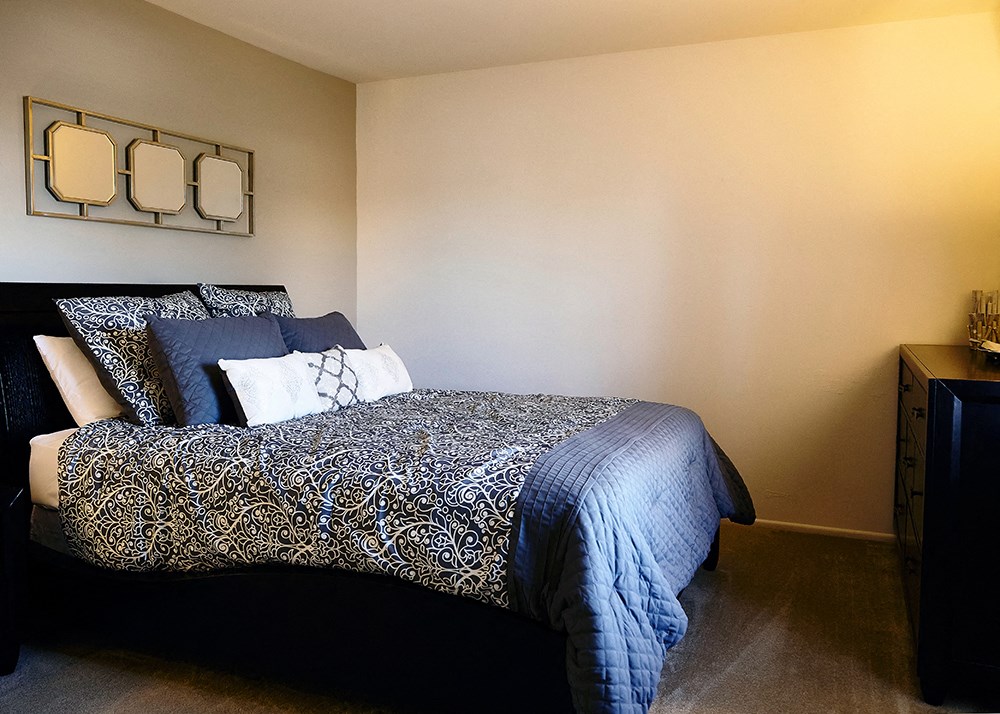 apartments near Notre Dame