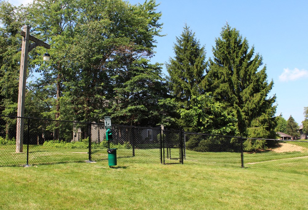 Pet Friendly Bloomington Apartment