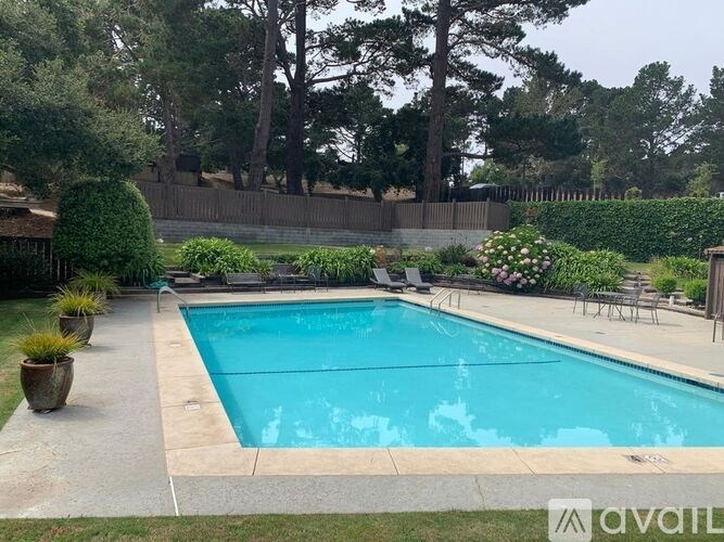 A pool surrounded by a concrete border and a hedge.