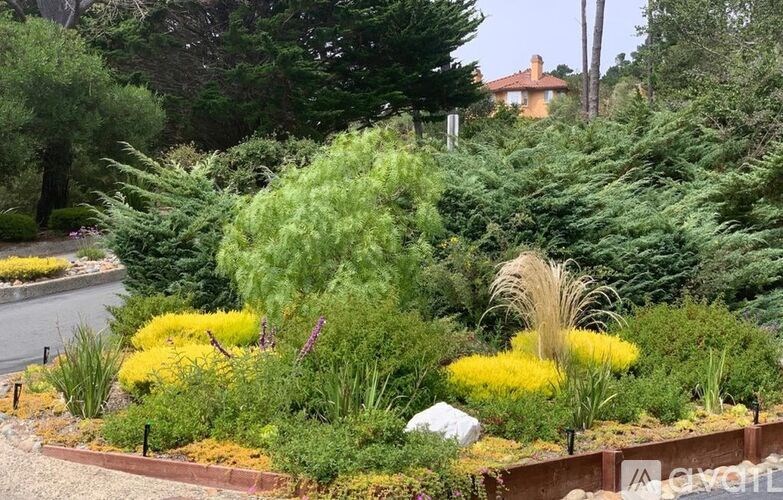 A garden with a variety of plants and flowers.