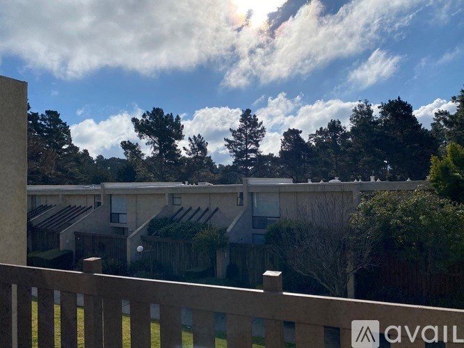 A sunny day in a residential area with houses and trees.