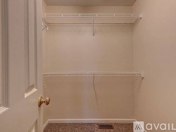 A white closet with a door and a carpeted floor.
