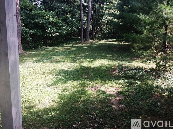 A grassy area with trees in the background.