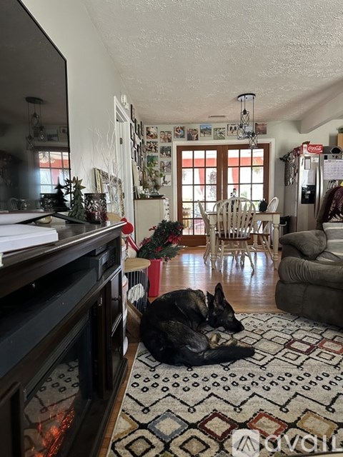 A dog is sleeping on a patterned rug in a living room.