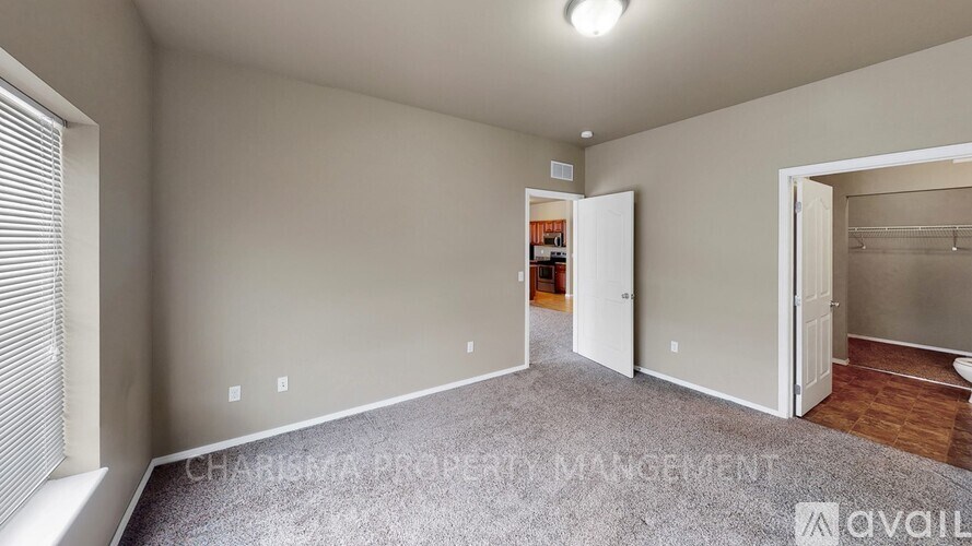A spacious room with a carpeted floor and a closet with a door open.