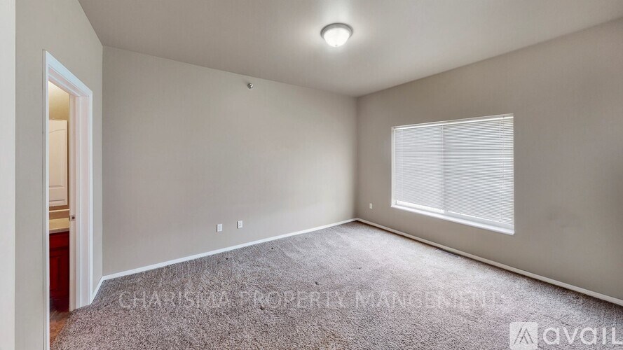 A room with a window and a carpet on the floor.