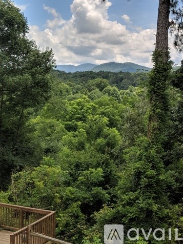 A lush green forest with a wooden deck in the foreground.