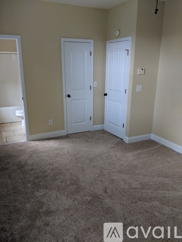 A room with two white doors and carpeted floor.