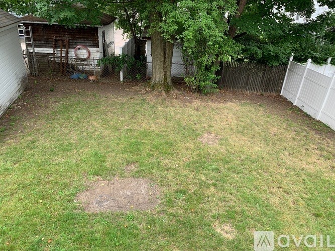 A backyard with a white fence and a tree.
