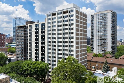 1344 N Dearborn St Studio Apartment for Rent