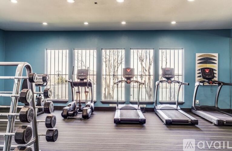 A gym with treadmills, weights, and exercise bikes.
