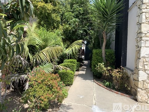 A pathway leads through a lush garden.