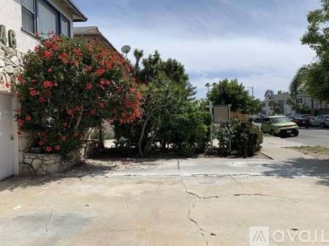 A white house with a tree with red flowers in front of it.