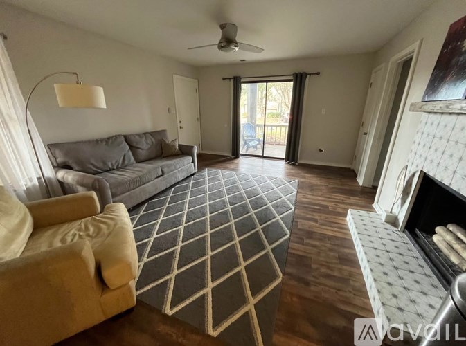A living room with a grey sofa and a rug with a black and white pattern.