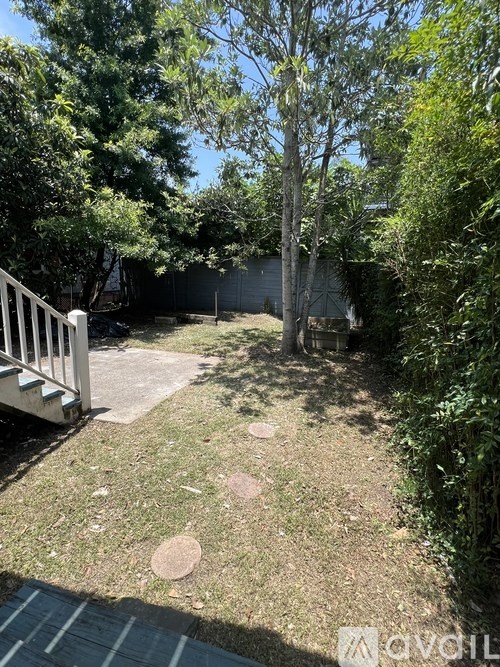 A backyard with a white fence and a tree.