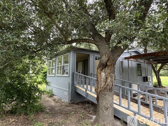 A tree is growing out of the porch of a grey house.