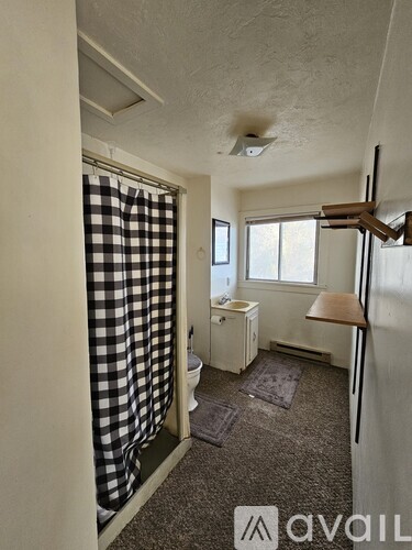 A bathroom with a checkered shower curtain and a carpeted floor.