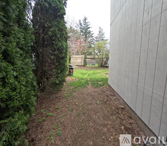A narrow dirt path leads through a green yard.