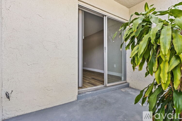 A plant is in front of a glass door.