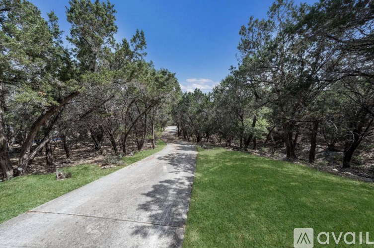 A tree-lined path in a park.