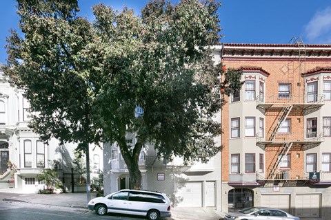 A tree in front of a building with a car parked in front of it.