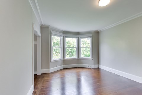 A room with a wooden floor and a window with a view of trees.