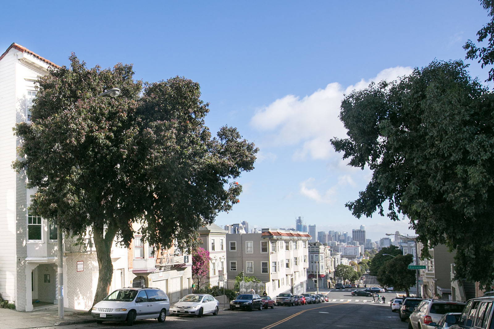 A tree-lined street with cars parked on the side and buildings in the background.