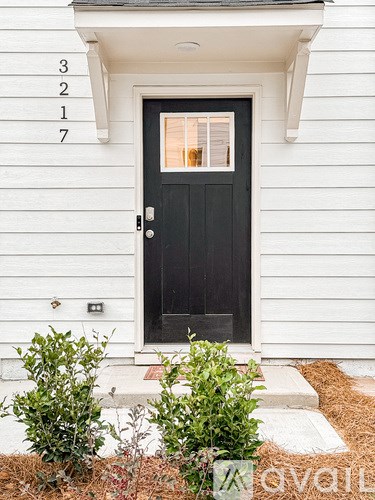 A black door with a glass window is flanked by two bushes.
