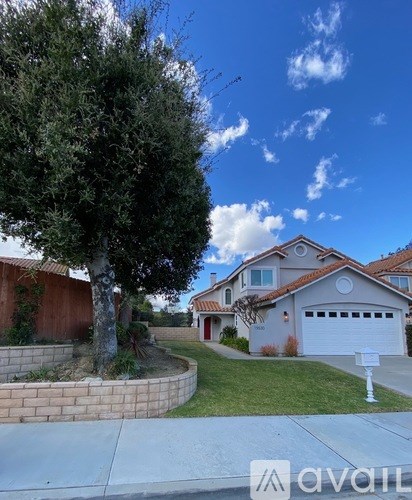 A tree in front of a house with a sign that says "avail".