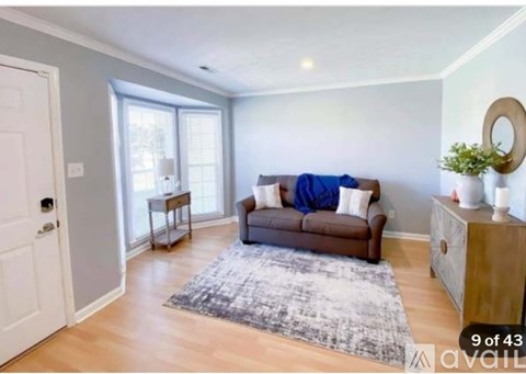 A living room with a brown couch and a grey rug.