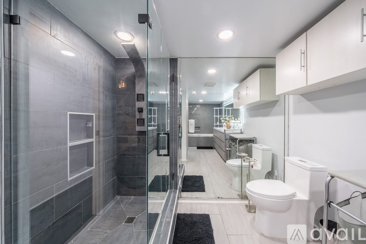 A modern bathroom with a walk-in shower and a toilet.