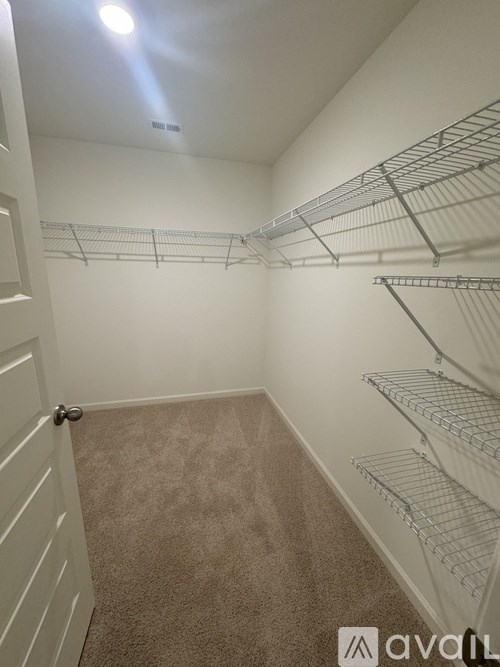 A walk-in closet with shelving and a carpeted floor.