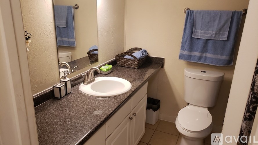 A bathroom with a toilet, sink, and mirror.