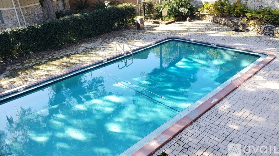 A small pool with a brown border and a metal ladder.