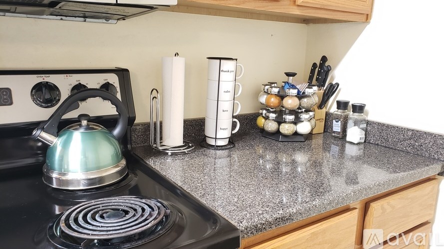 A silver kettle sits on a black stove.