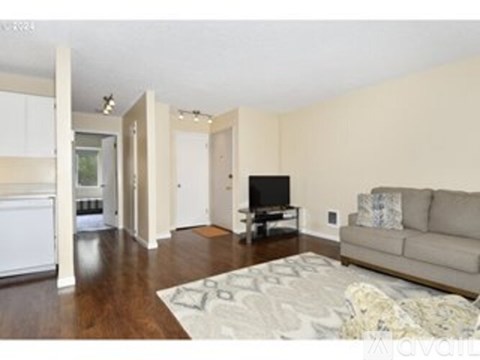 A living room with a couch, television, and a rug.